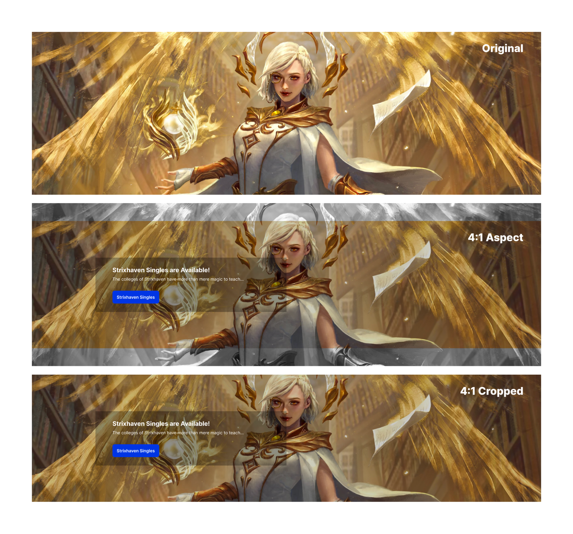 Banner examples displaying original size, 4:1 aspect ratio, and 4:1 cropped.