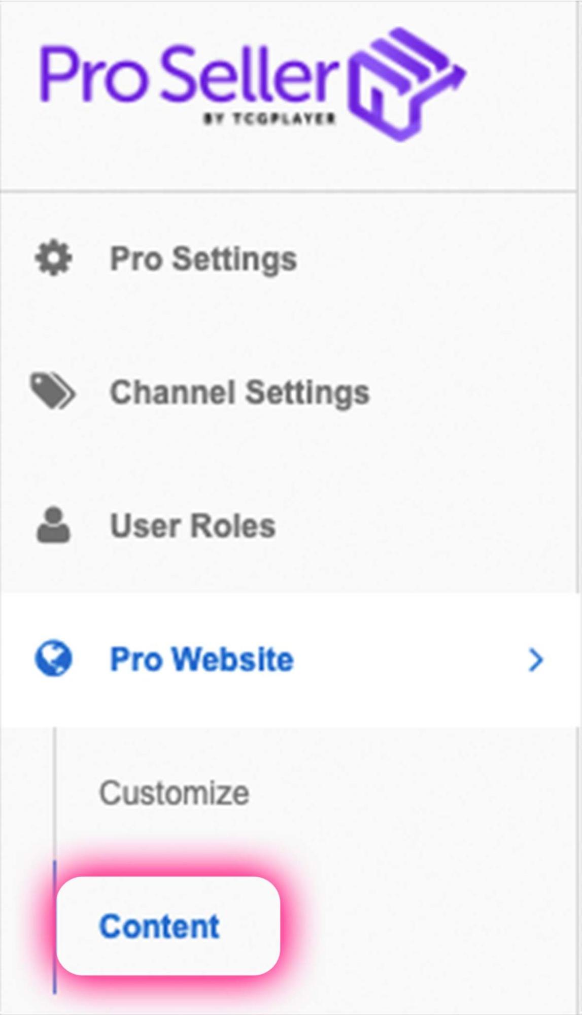 Content is located under Pro Website on the Pro Seller menu.